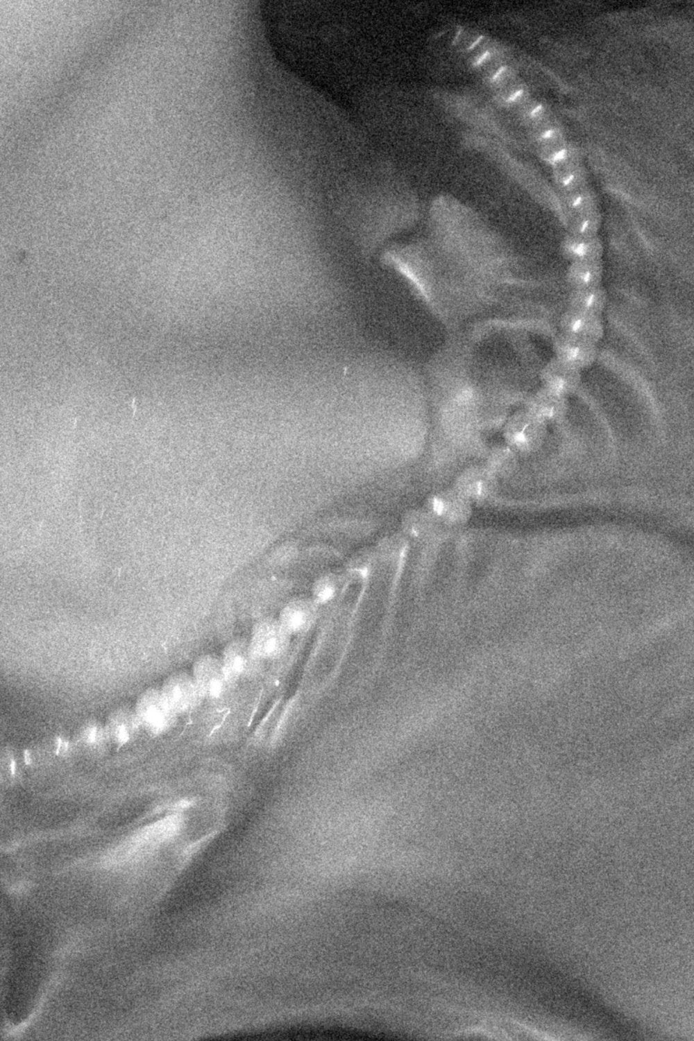 The Marguerite Necklace - Maris Pearl Co.