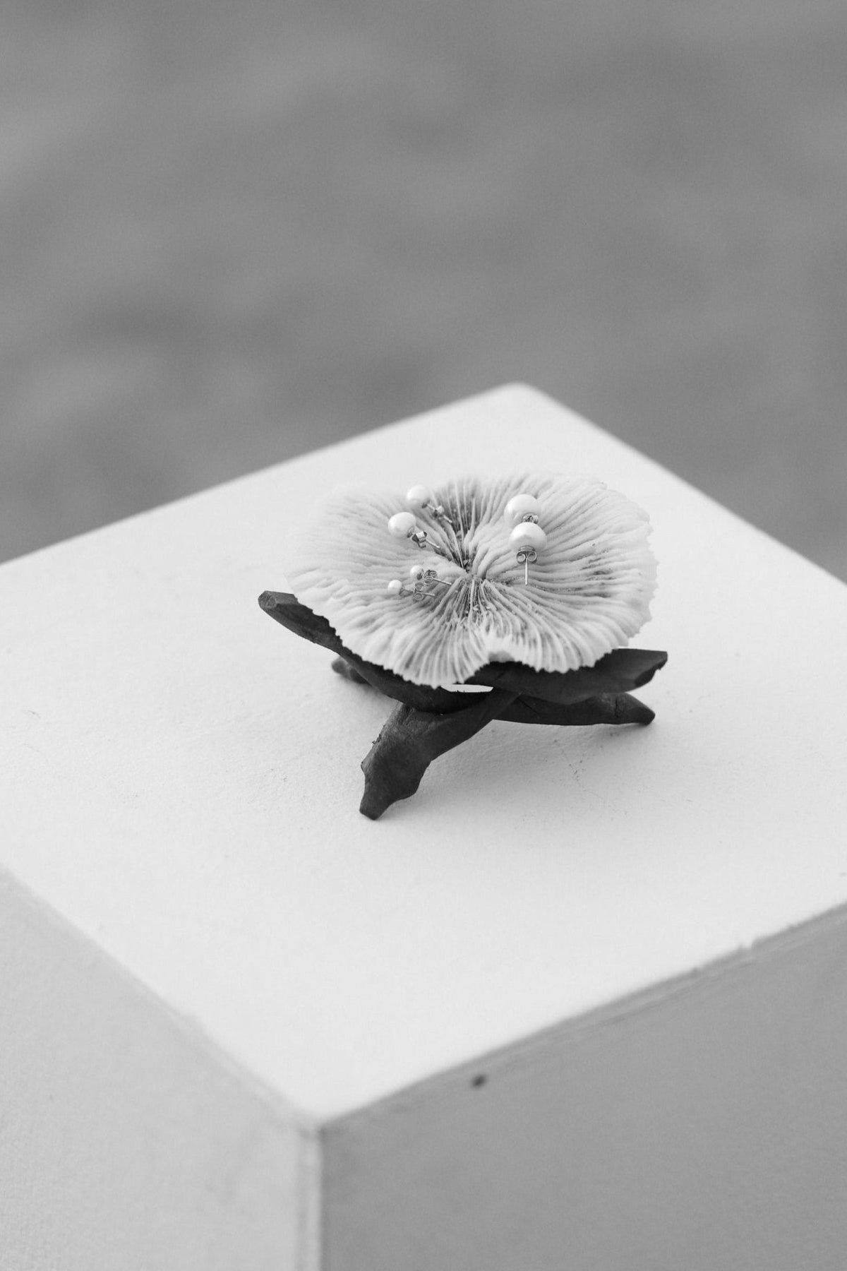 The Sailor Earring in Solid Gold - Maris Pearl Co.