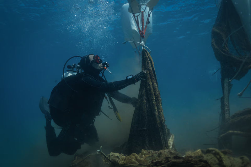Of the sea, for the sea: Our latest conservation mission in Andros