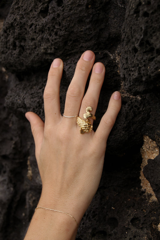 The Fish Ring